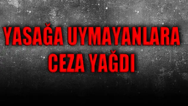 Sokağa çıkma yasağına uymayanlara ceza yağdı