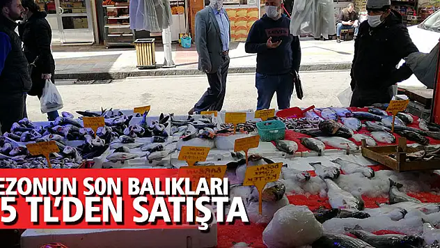 Sezonun son balıkları 15 liradan satılıyor 