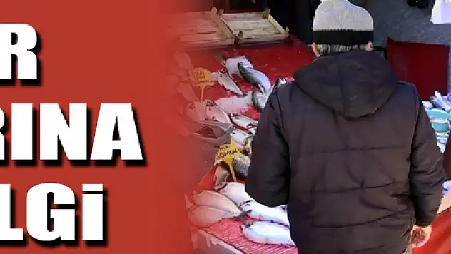 Yasak öncesi kültür balıklarına yoğun ilgi