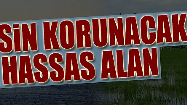 Kızılırmak Deltası Kuş Cenneti 'kesin korunacak hassas alan' ilan edildi