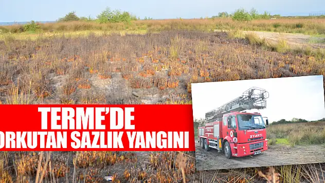 Samsun'da korkutan sazlık yangını 
