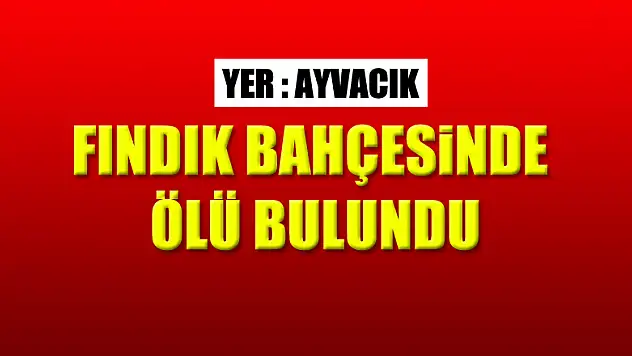 Fındık bahçesinde ölü bulundu