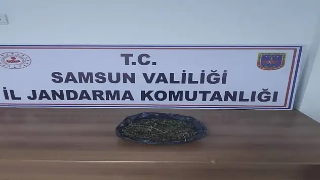 Uyuşturucuları 'Ozon' yakaladı  