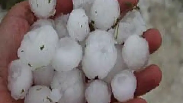 Vezirköprü'de zarar tespiti yapıldı