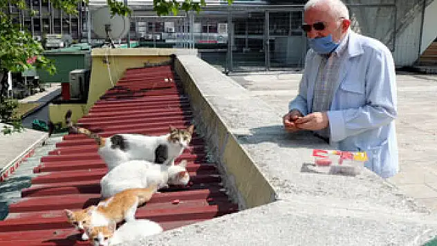 'Kedilerin Dedesi' yasağın ardından hem kedilerine hem işine kavuştu