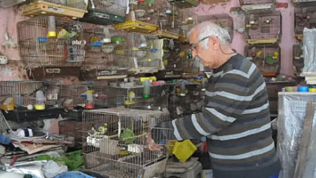 Emekli öğretmenin 'kuş' tutkusu