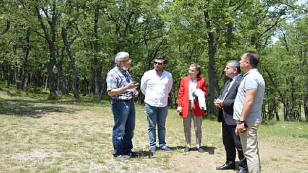'Kılavuz Ormanı' mesire alanı oldu