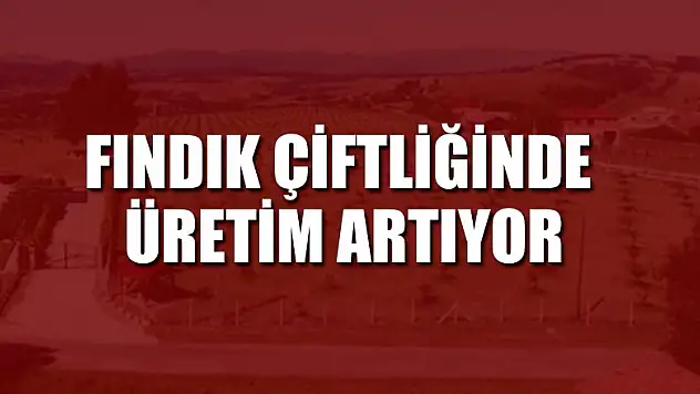 Fındık çiftliğinde üretim artıyor