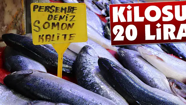 Somonun kilosu 20 liraya düştü