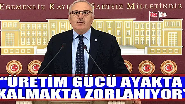 'ÜRETİM GÜCÜ AYAKTA KALMAKTA ZORLANIYOR'