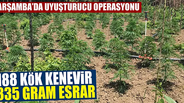 Çarşamba'da uyuşturucu operasyonu