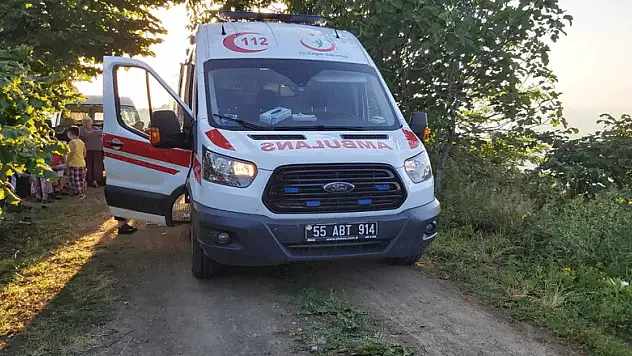 Otomobil fındık tarlasına uçtu: 4'ü çocuk 8 yaralı