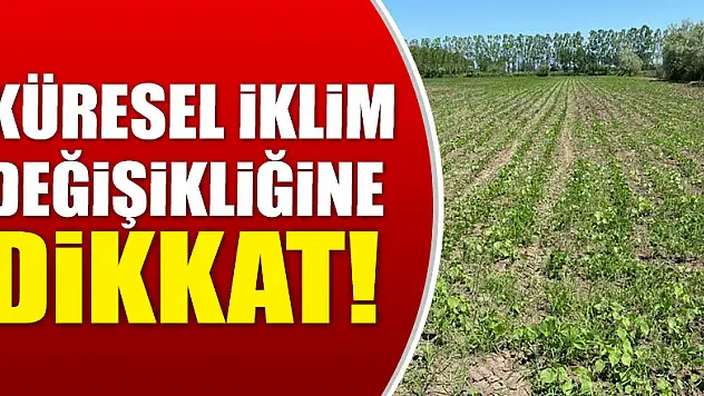 Küresel İklim Değişikliğine dikkat!