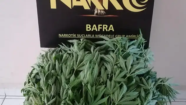 23 kök Hint keneviri ile yakalanan şahıs serbest kaldı   