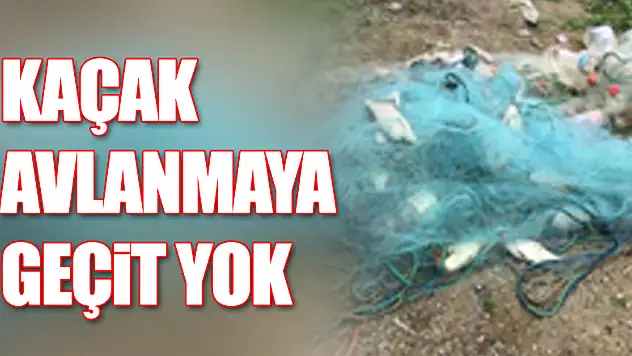 Kaçak avcılığa göz açtırılmıyor