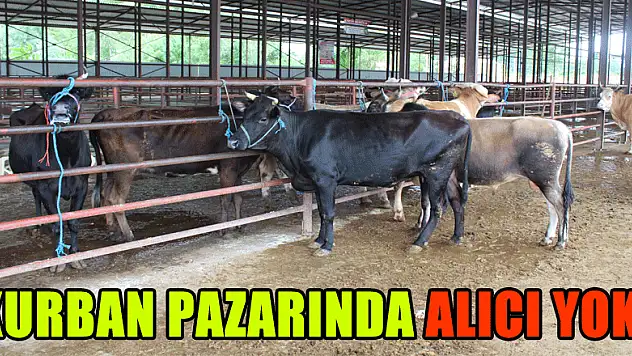 KURBAN PAZARINDA ALICI YOK!