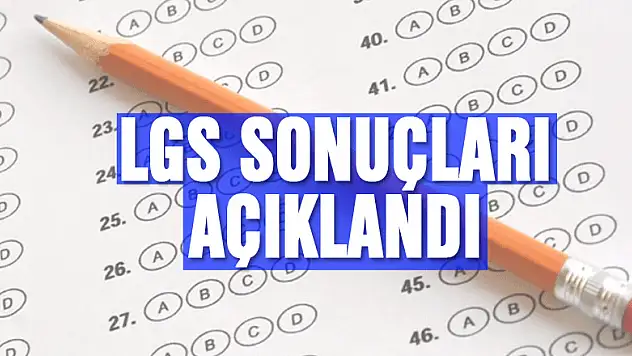 LGS sonuçları açıklandı