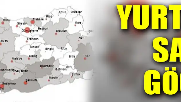 Yurt dışından Samsun'a 11 bin 379 kişi göç etti