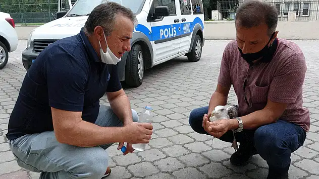 Uçamayan martıya polis şefkati