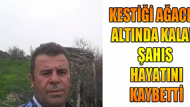 Kestiği ağacın altında kalan şahıs hayatını kaybetti