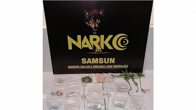 Evinde uyuşturucu ele geçen şahıs gözaltına alındı