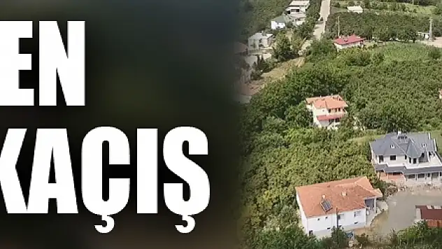 Pandemi döneminde kentten kırsala kaçış