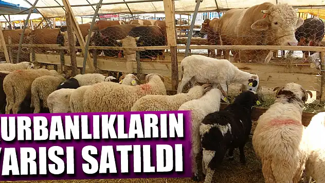 Bayrama bir hafta kala kurbanlıkların yarısı satıldı