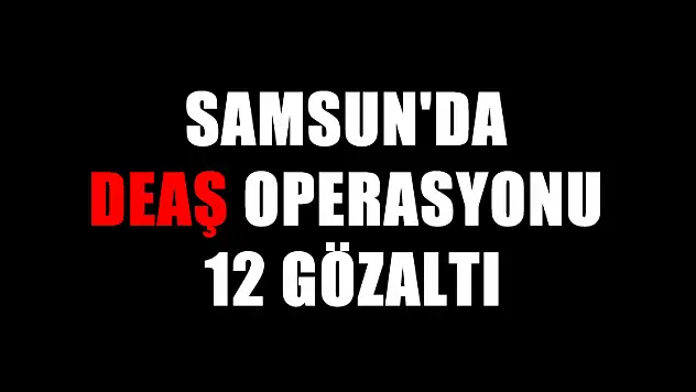 Samsun'da DEAŞ operasyonu: 12 gözaltı