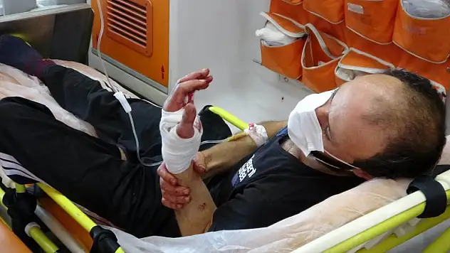 Acemi kasaplar kendilerini kestiler 