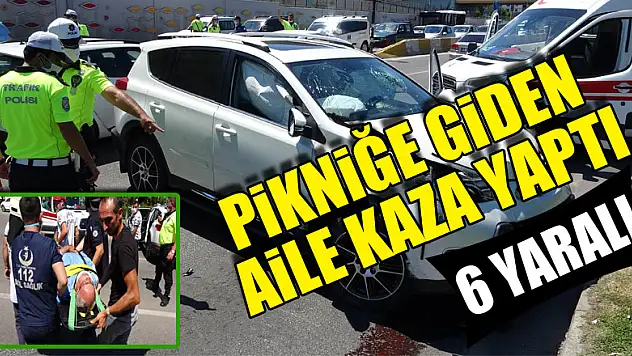 Pikniğe giden aile kaza yaptı: 6 yaralı