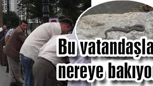 Bu vatandaşlar nereye bakıyor!