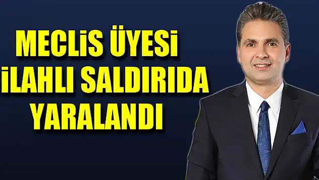 Meclis üyesi silahlı saldırıda yaralandı