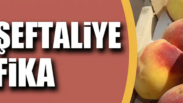 Kalıntısız şeftaliye sertifika