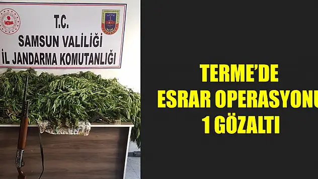 Terme'de esrar operasyonu