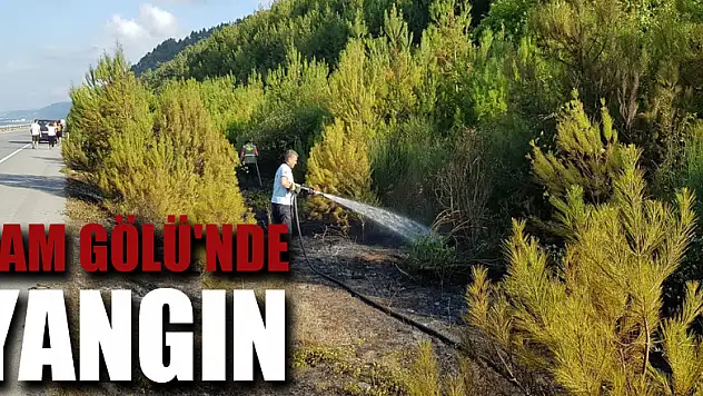 Yakakent Çam Gölü'nde yangın