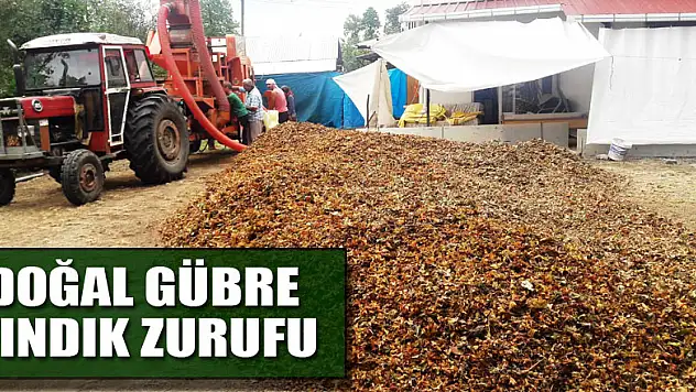 Doğal gübre: Fındık zurufu