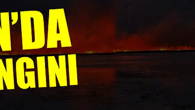 Samsun'da sazlık yangını