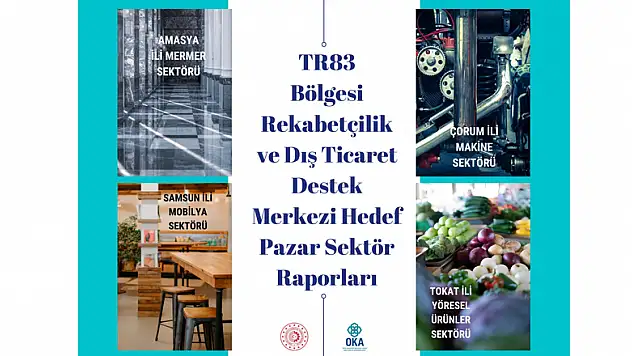 OKA 4 il için hedef pazar sektör raporları hazırladı