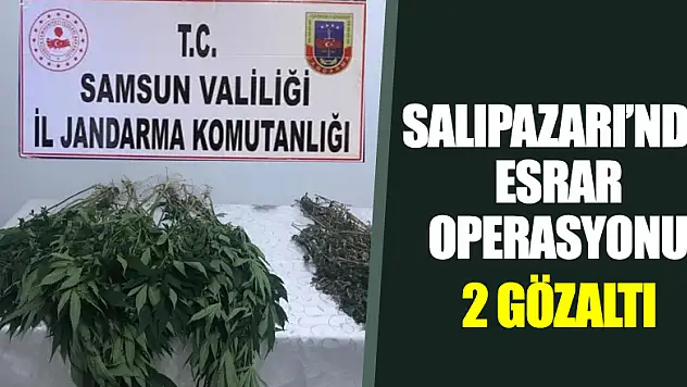 Salıpazarı'nda esrar operasyonu:2 gözaltı