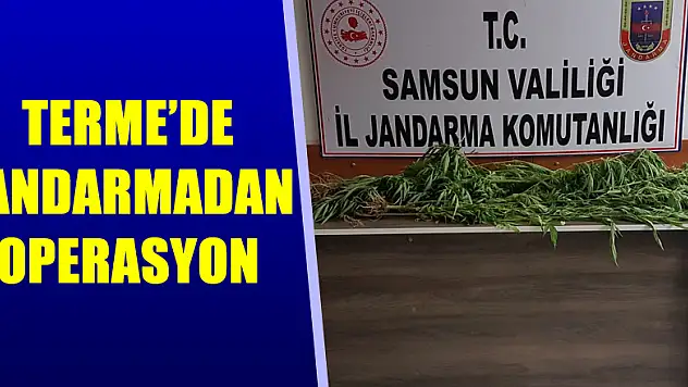 Terme'de jandarmadan operasyon