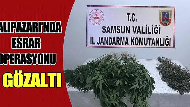 Salıpazarı'nda esrar operasyonu:2 gözaltı