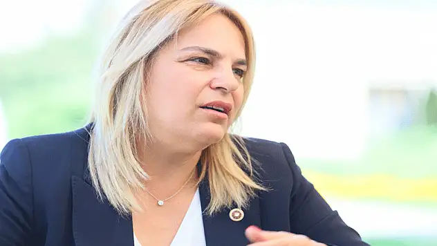 Hancıoğlu'ndan 'Tüm zamanların rekoru' eleştirisi!