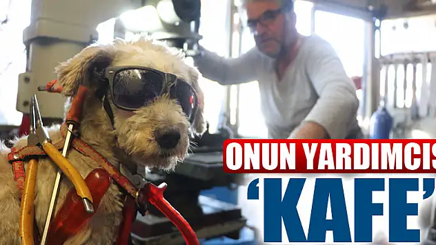 Onun yardımcısı 'Kafe'