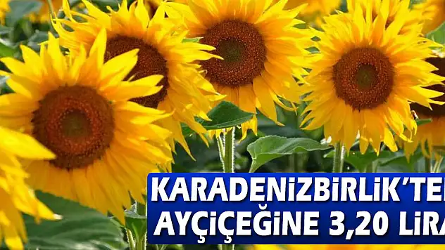 KARADENİZBİRLİK'ten ayçiçeğine 3,20 lira