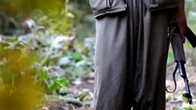 Biri İnterpol tarafından aranıyordu, 2 terörist teslim oldu