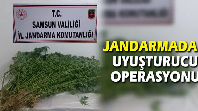 Jandarmadan uyuşturucu operasyonu