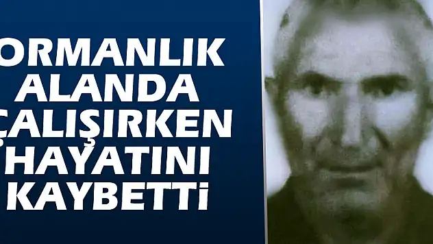 Ormanlık alanda çalışırken hayatını kaybetti