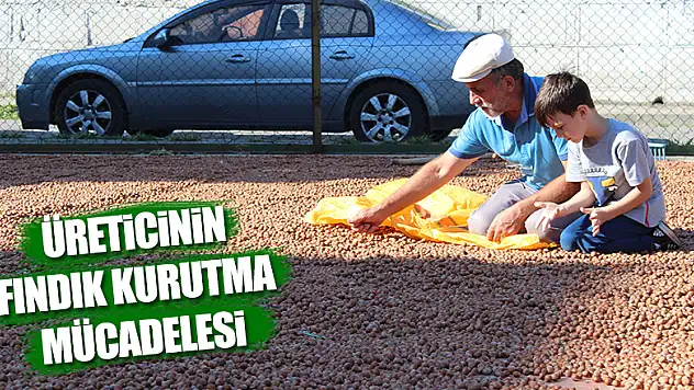 Üreticinin fınfık kurutma mücadelesi