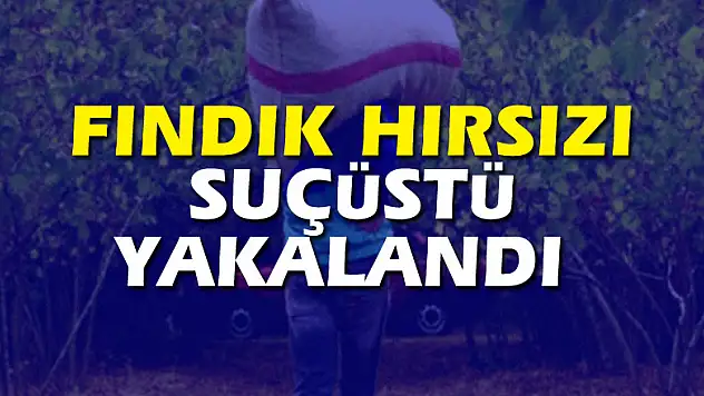 Fındık hırsızı suçüstü yakalandı