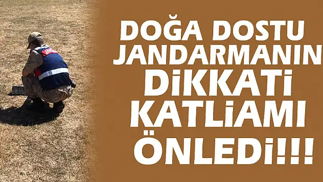 Samsun'da doğa  dostu  jandarmanın dikkati katliamı önledi!!!